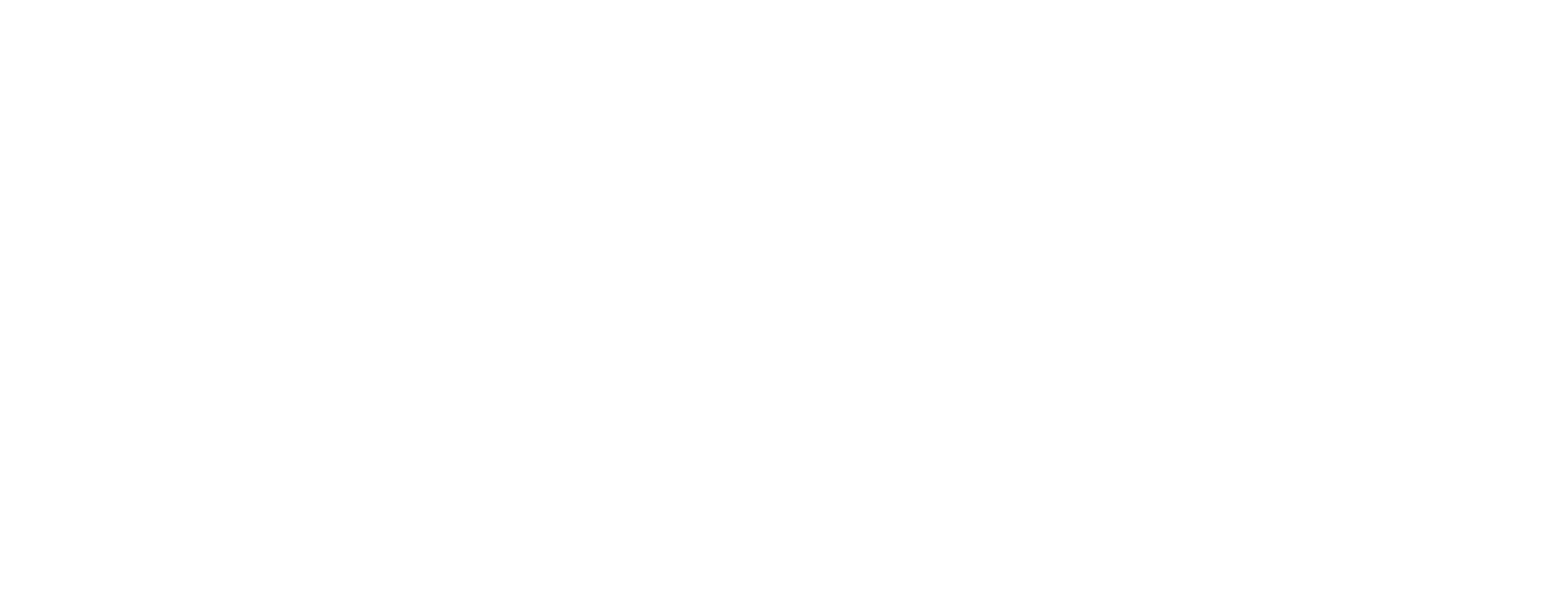 Zinus NZ