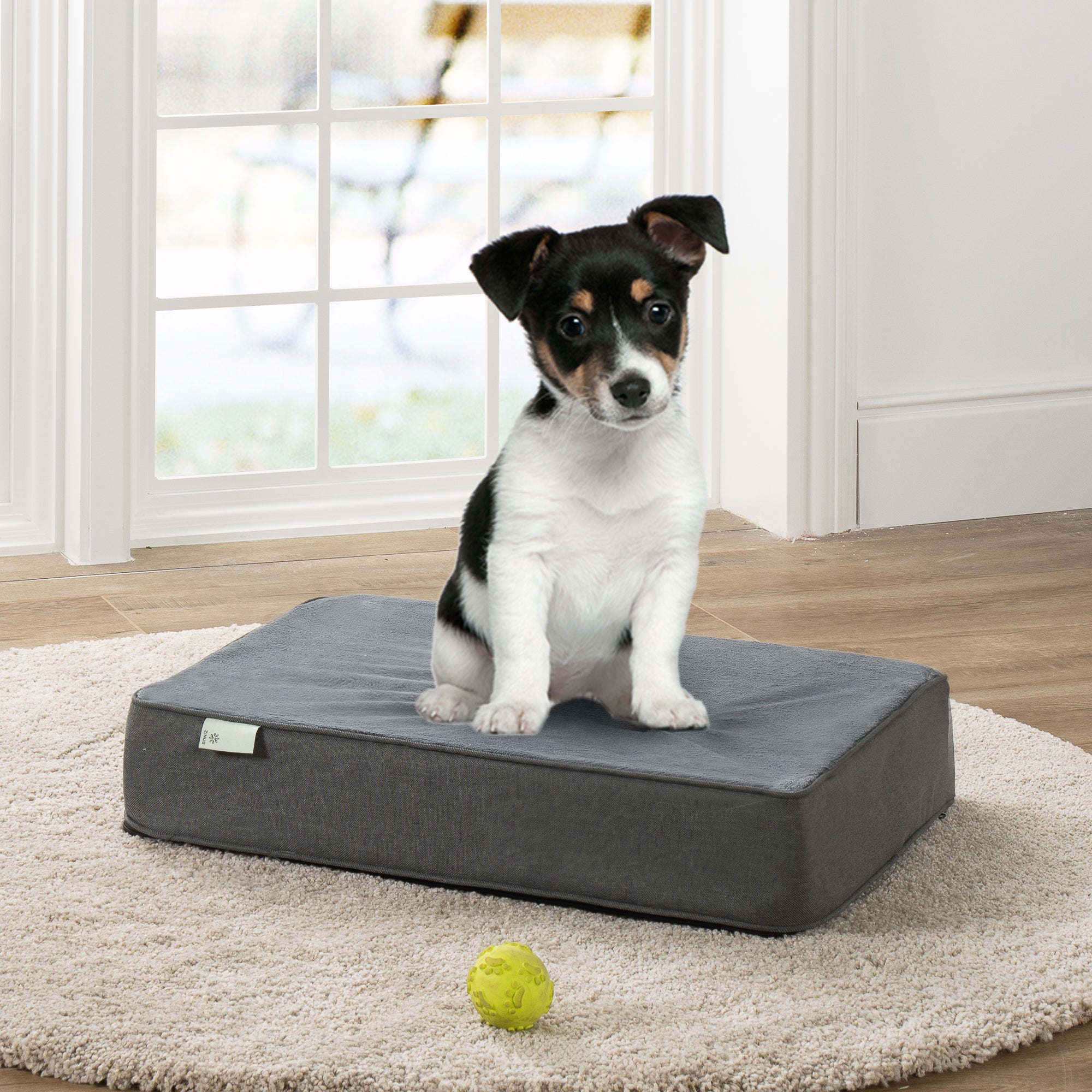 Memory Foam Pet Bed - Small - Zinus NZ